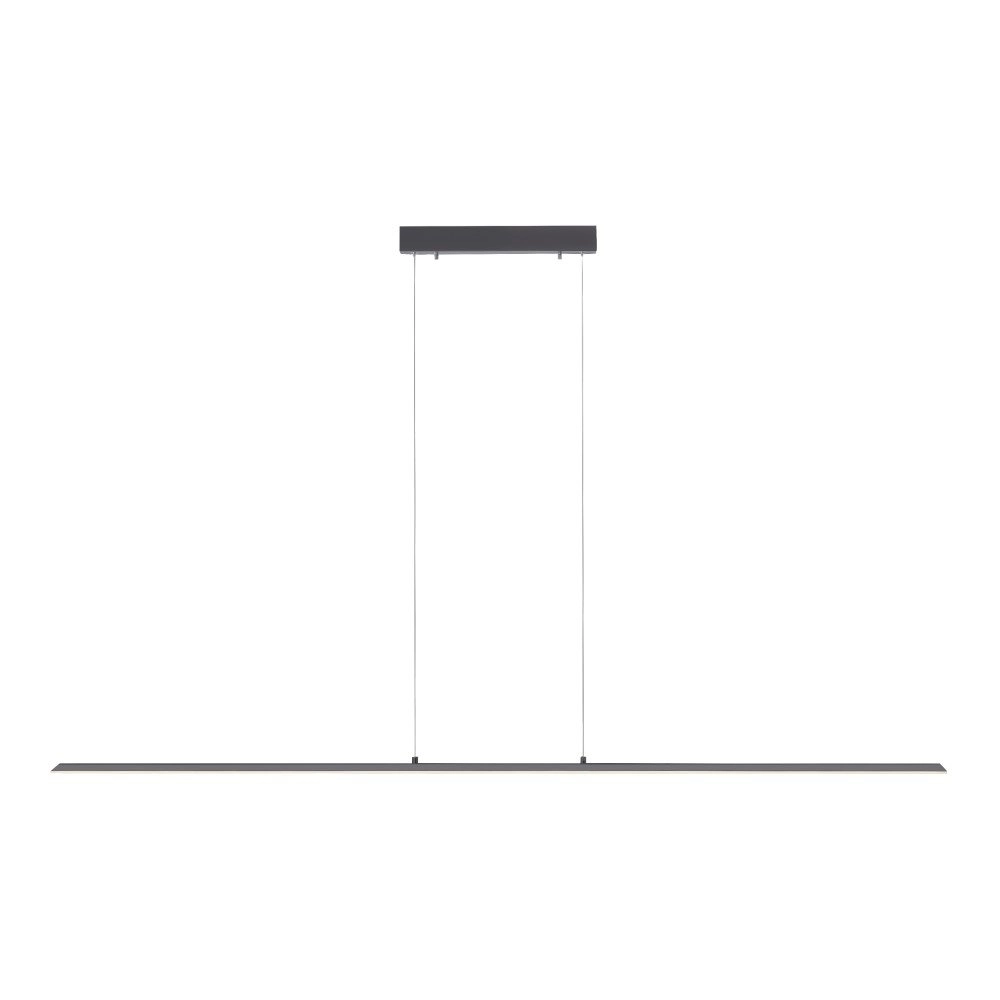 Design hanging lamp Pure Lite 160cm anthracite Paul Neuhaus 4012248344897