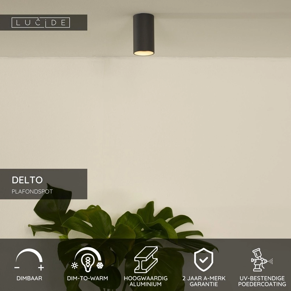 Sleek surface-mounted spot Delto grey Ø 5.5cm incl light source Lucide 5411212092373