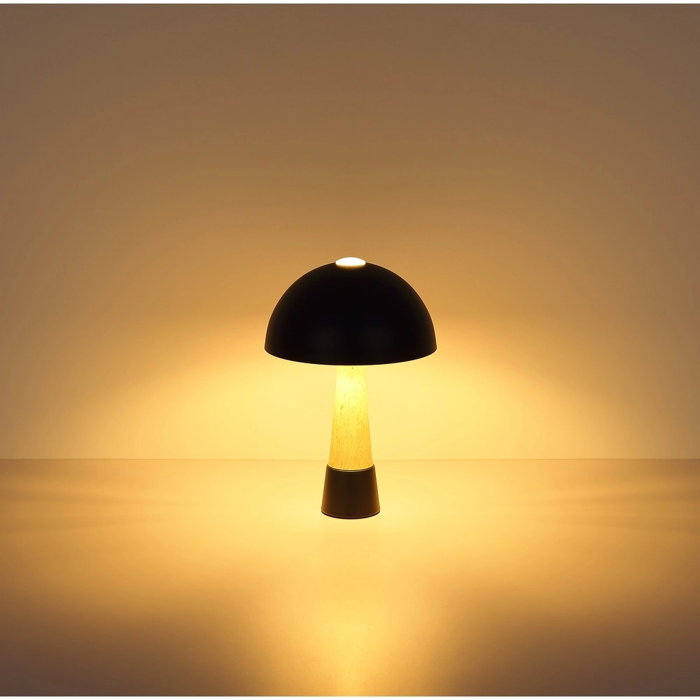Unique table lamp Paulin Ø 25cm black Globo 9007371573059