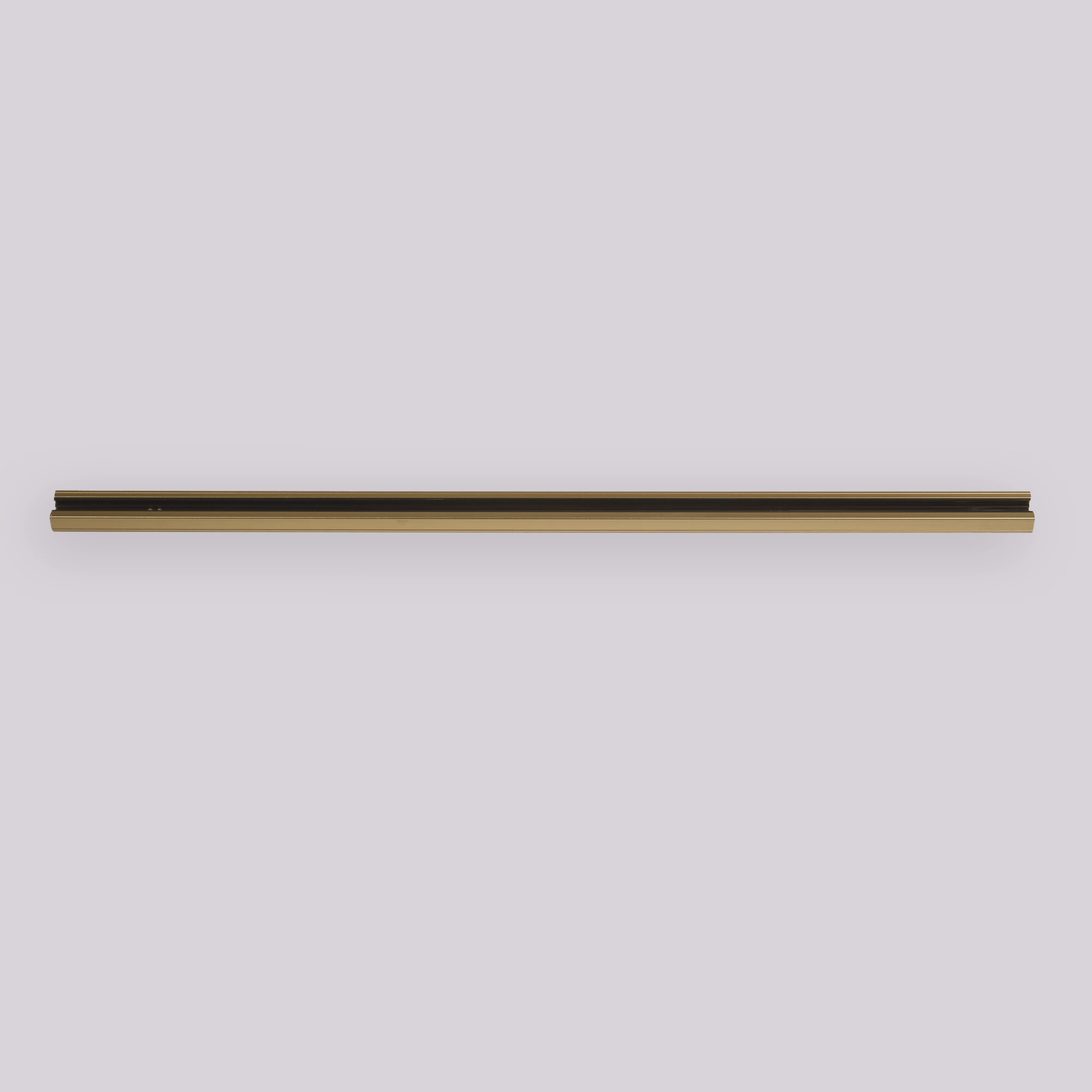 1 meter rail TraQ Gold