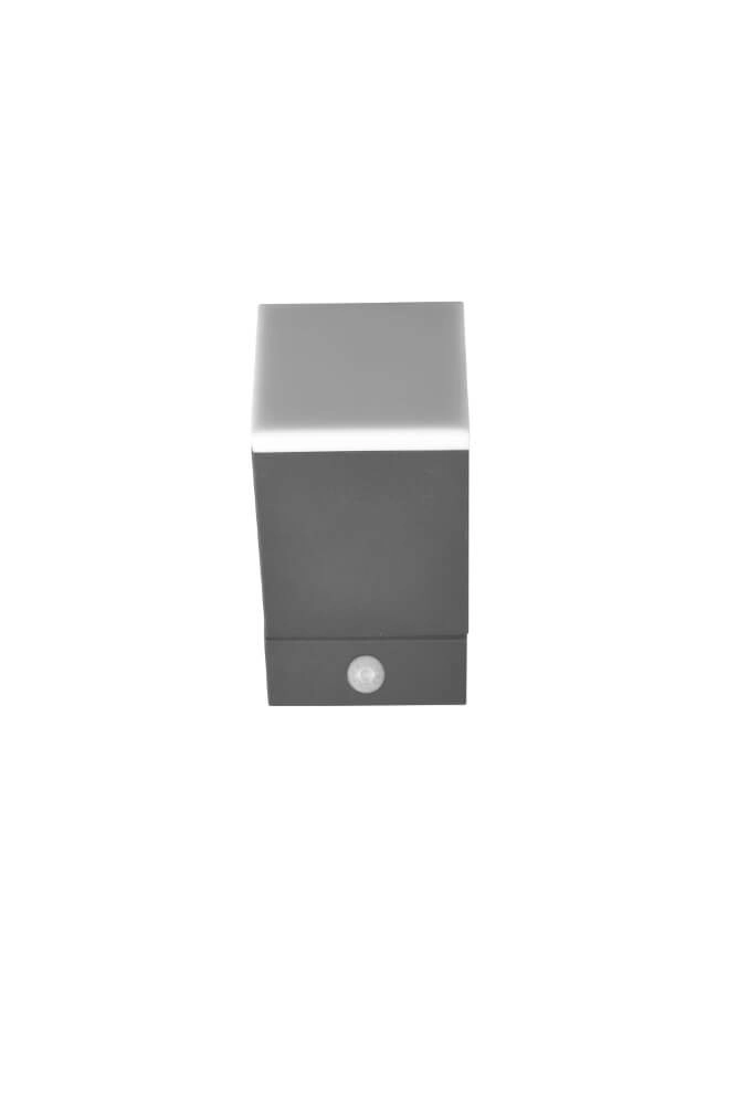 LED wall lamp Avon with motion sensor Trio 4017807529135