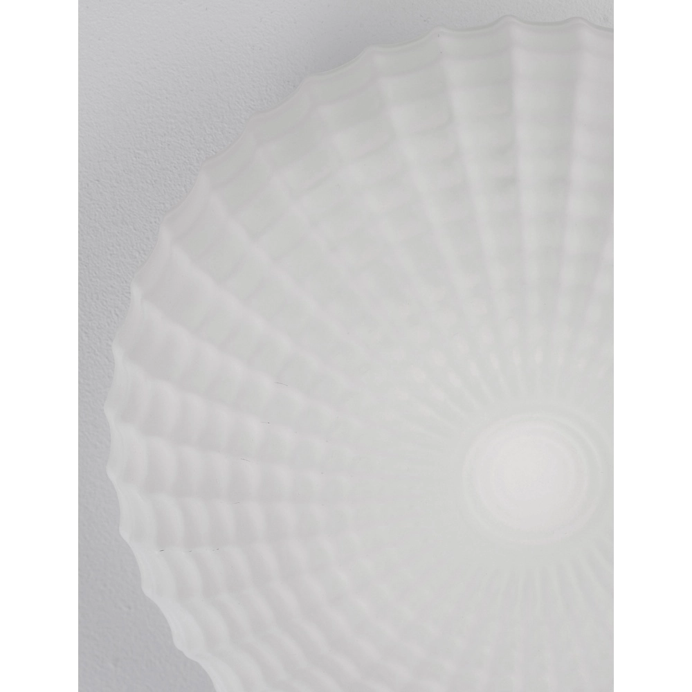 Ceiling lamp Clam white glass Lyora 5212017419460