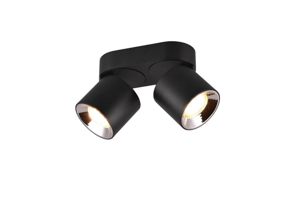 Ceiling light Guayana 2-light black Trio 4017807573961