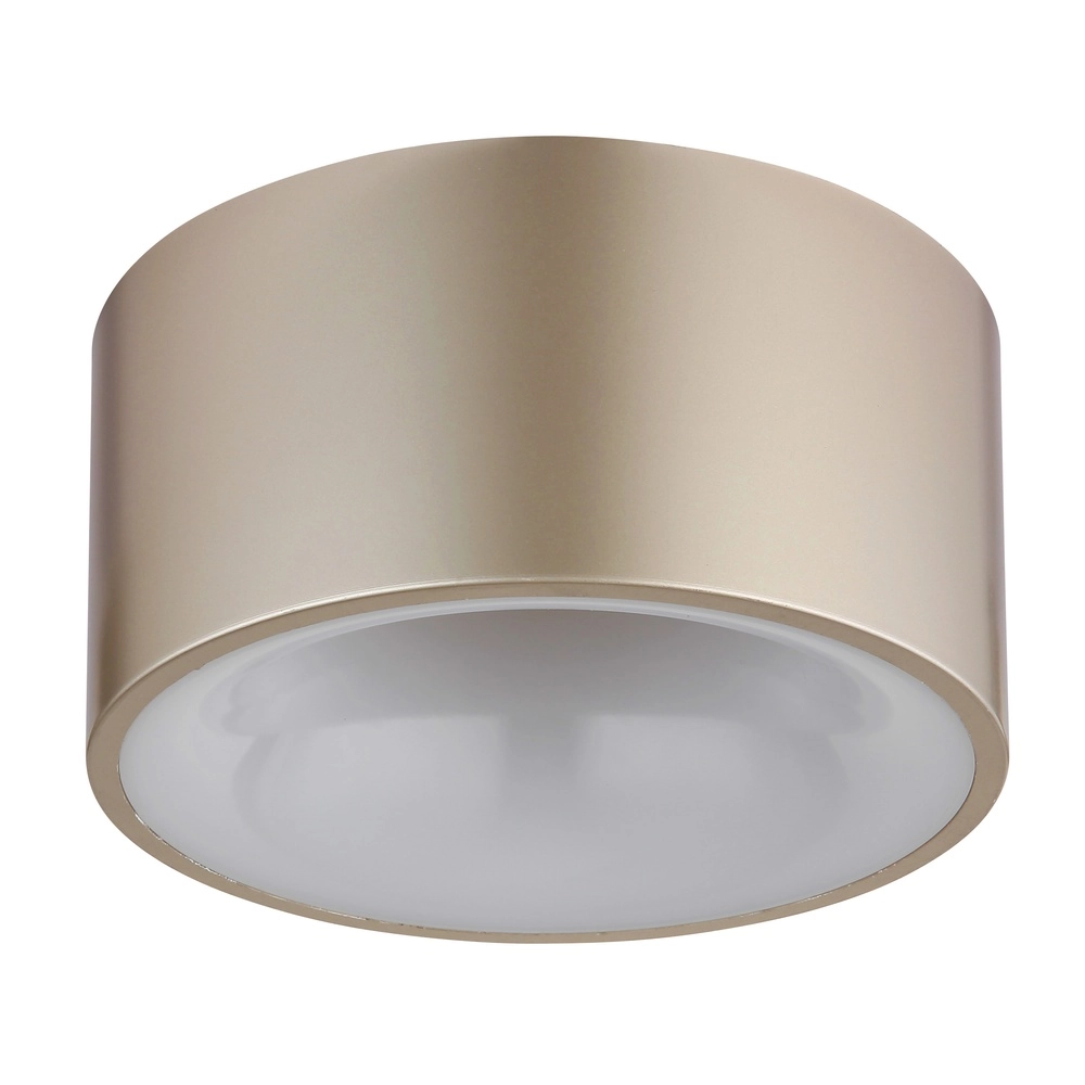 Ceiling lamp Raymond Champagne Globo 9007371528868