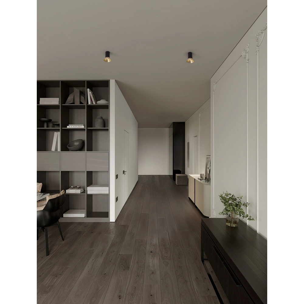 Ceiling spotlight Luvia black with gold Lyora 5212017475497