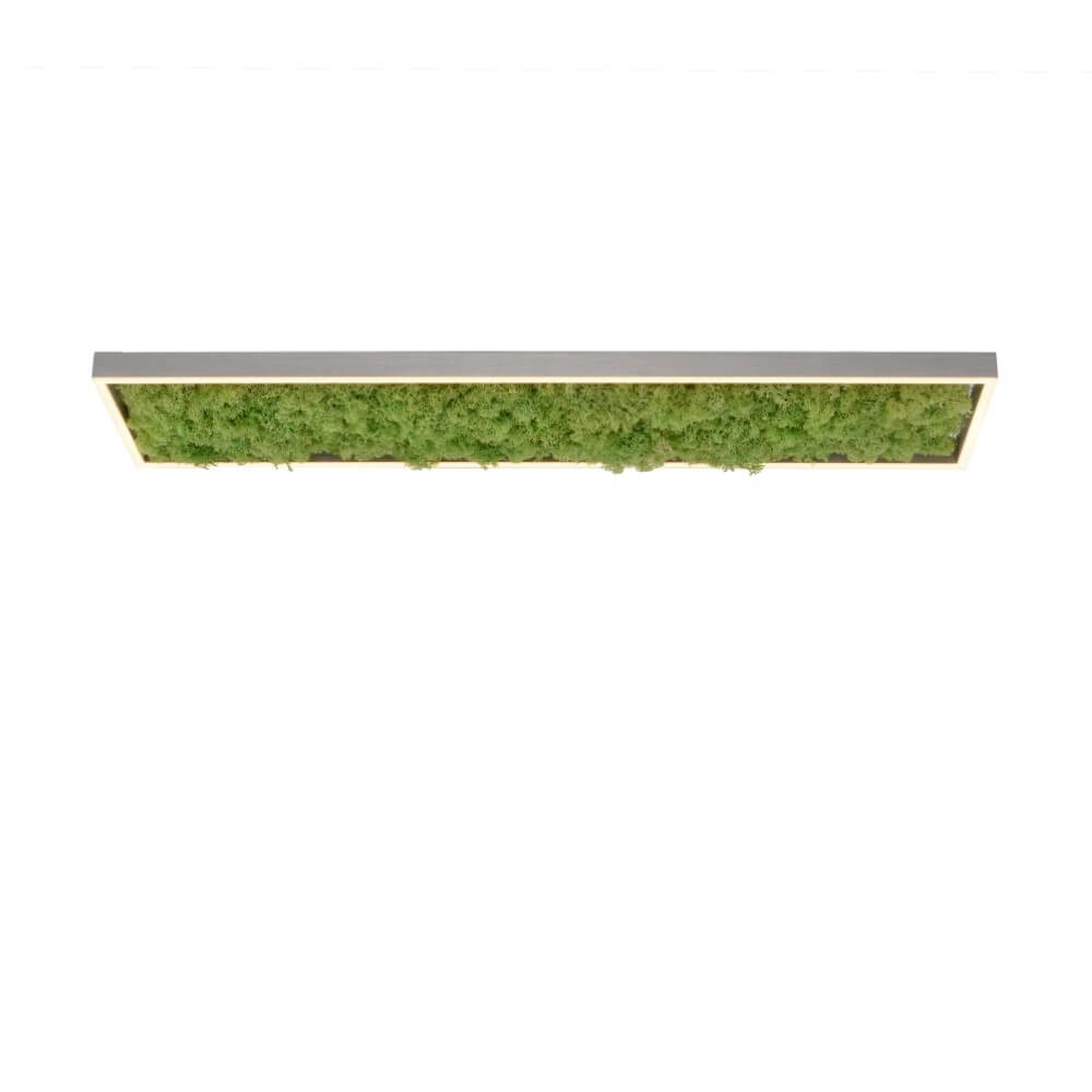 Rectangular ceiling lamp Green Knut with moss Just Light 4043689994846