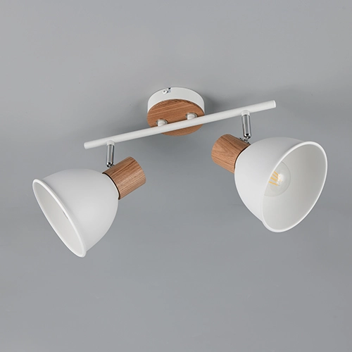 Ceiling lamp Delume double white Trio 4017807672251