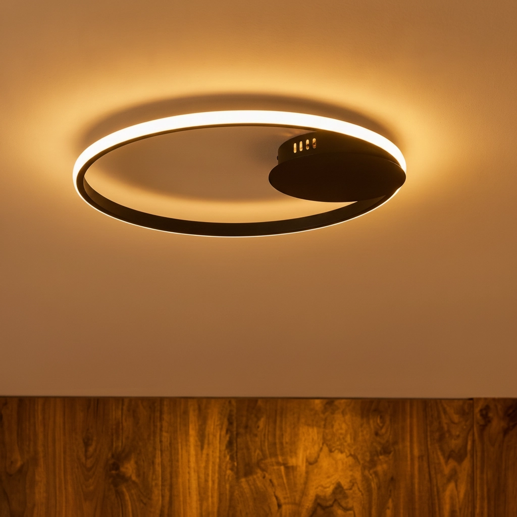 Round ceiling lamp Fuline black Ø 50cm