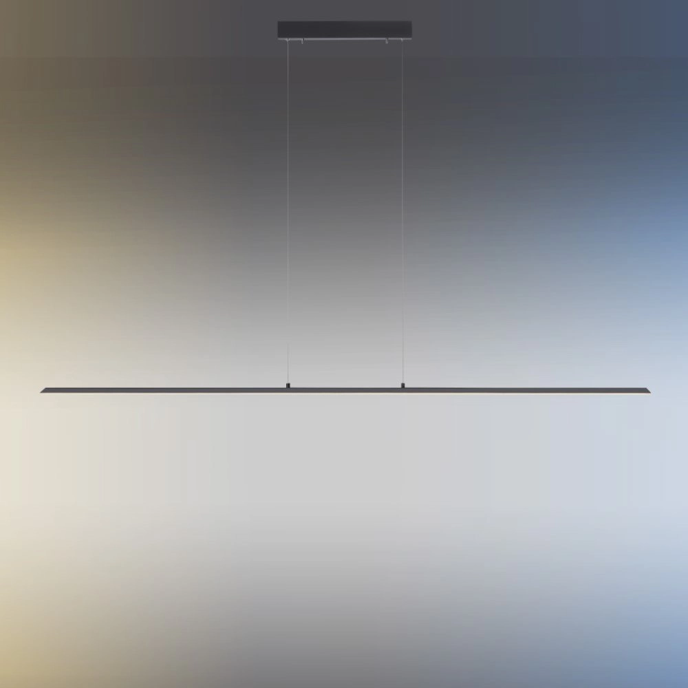 Design hanging lamp Pure Lite 160cm anthracite Paul Neuhaus 4012248344897