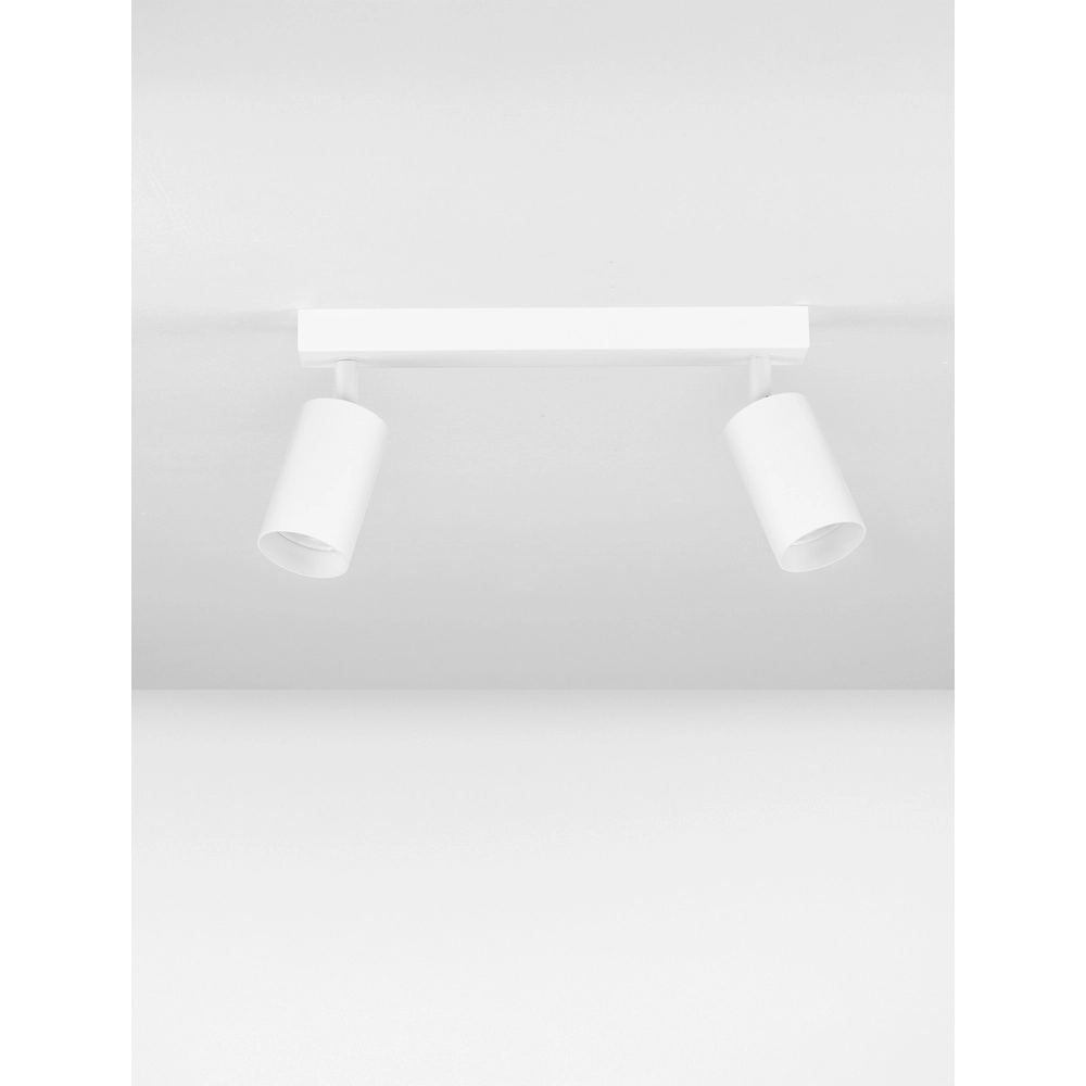 Ceiling spotlight Reig 2-lightest white Lyora 5212017477941