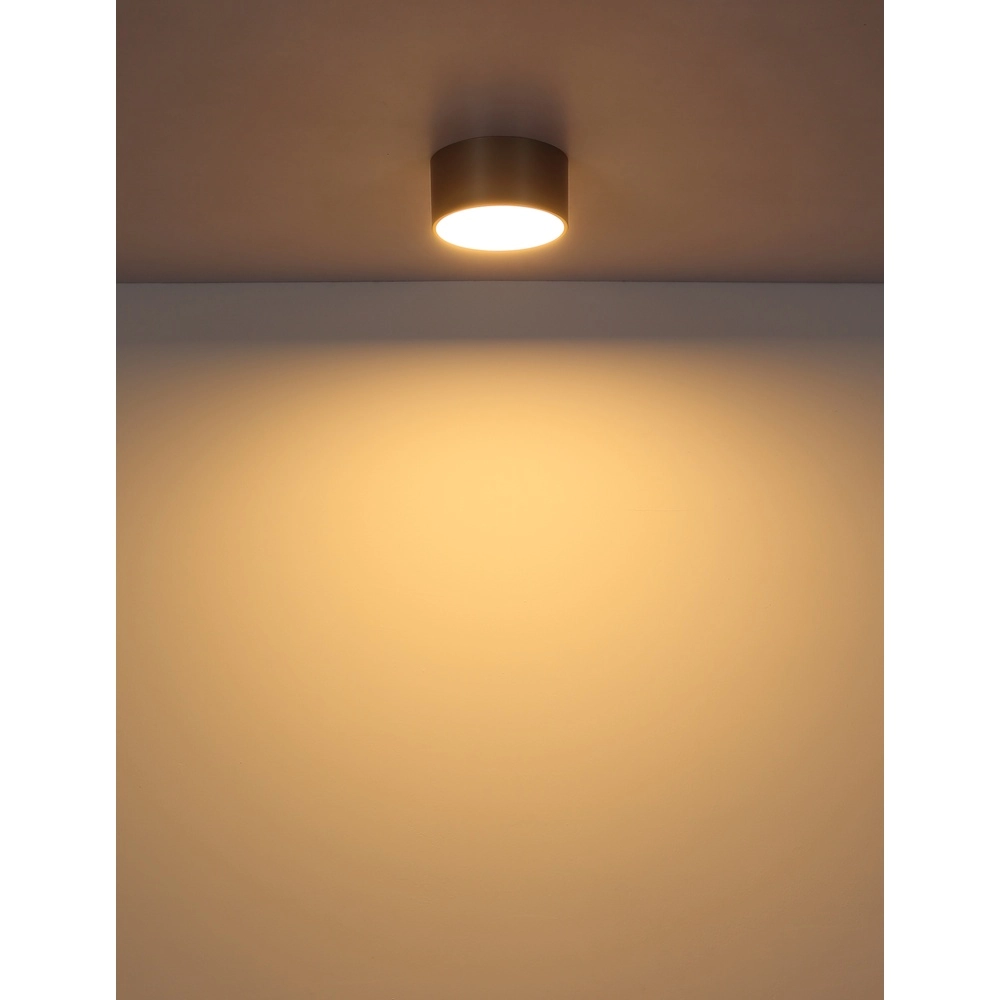 Ceiling lamp Raymond Champagne Globo 9007371528868