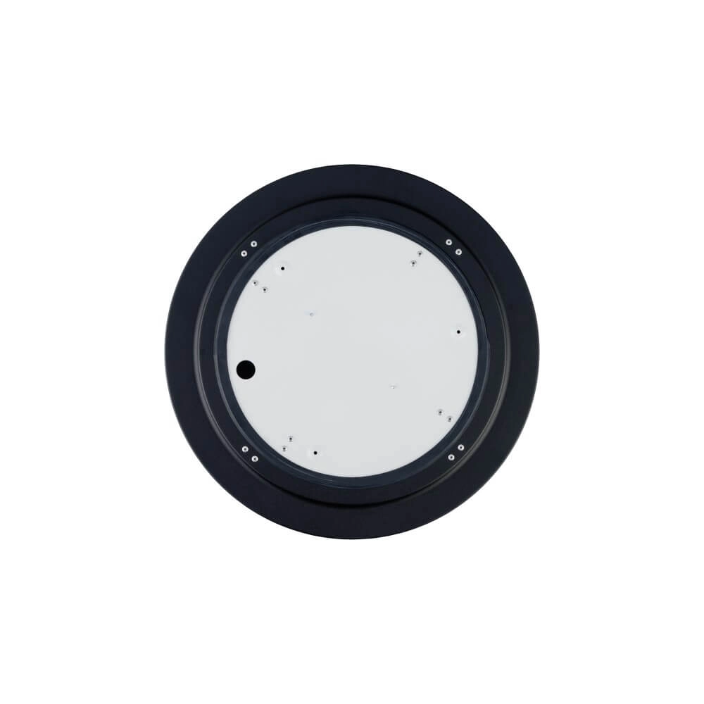 Black indoor ceiling lamp Arena Lyora 5903139101752
