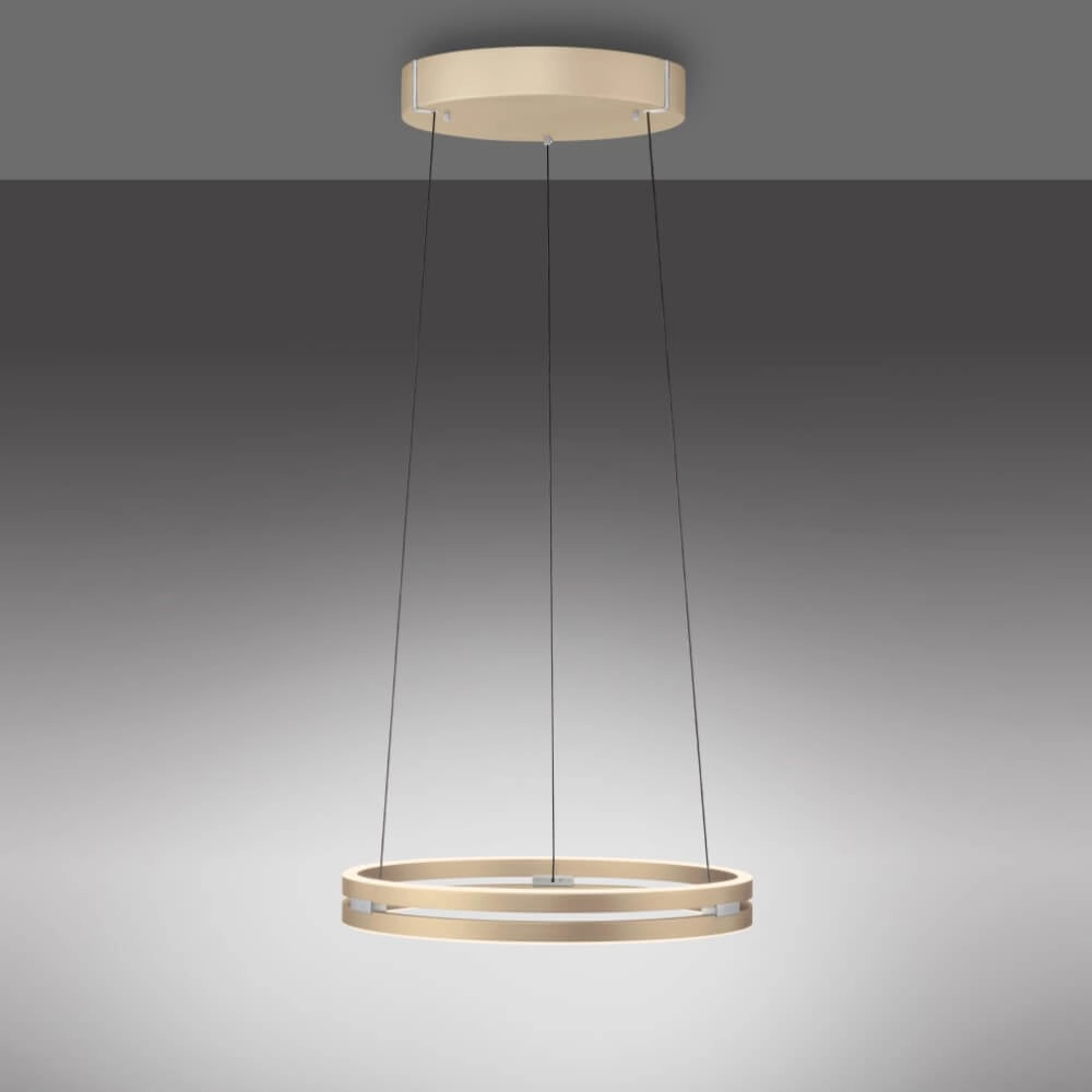 Sleek hanging lamp Pure E-Loop brass Paul Neuhaus 4012248372265
