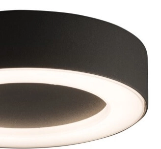 IP54 ceiling lamp Merida Lyora 5903139951494