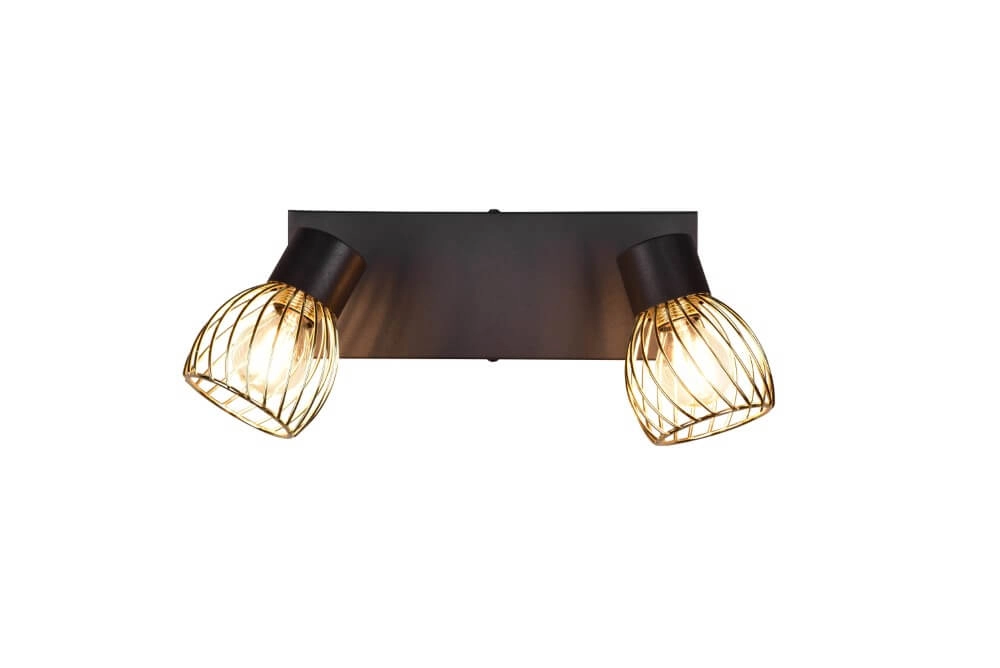 Ceiling lamp Ardon Design 2-light Trio 4017807560909