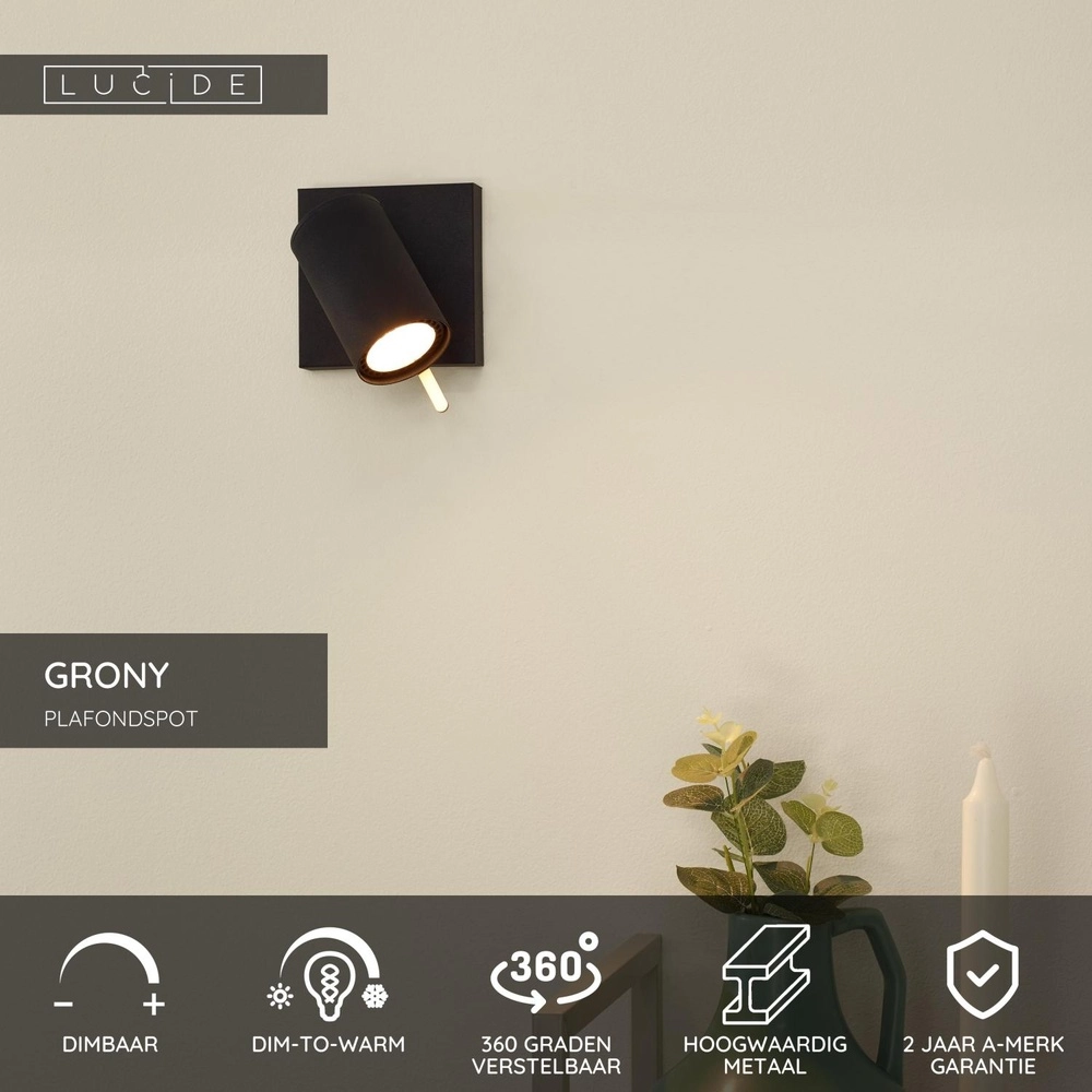 Ceiling lamp Grony Black Lucide 5411212176899