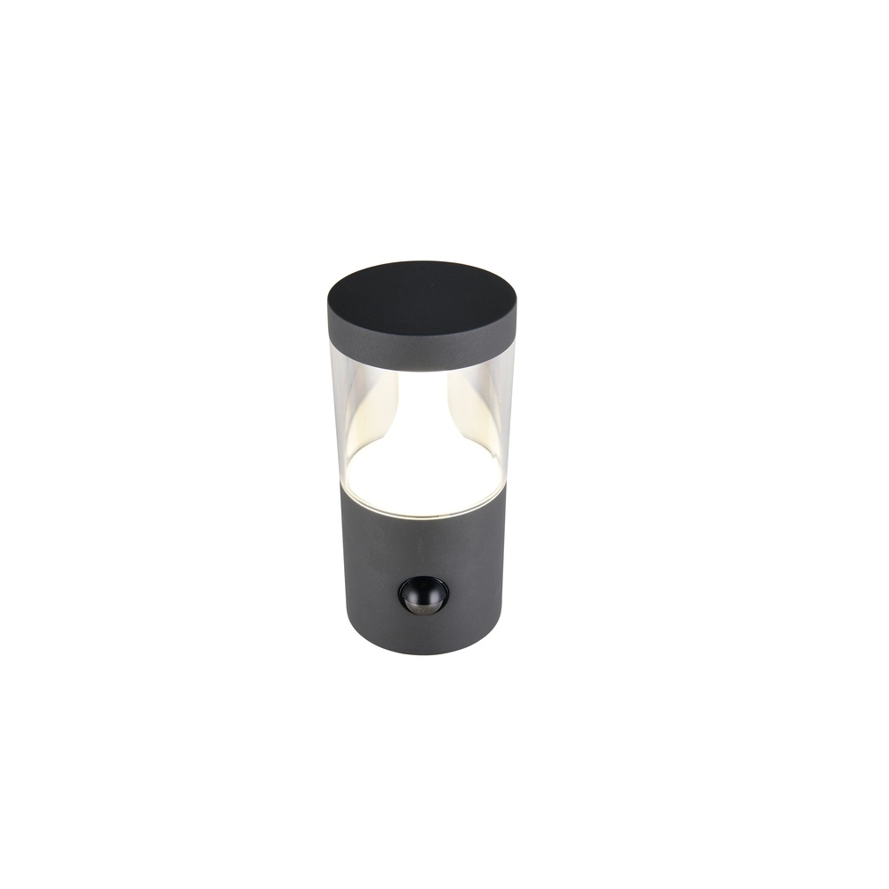 Wall lamp Tagus anthracite with sensor Trio 4017807686821