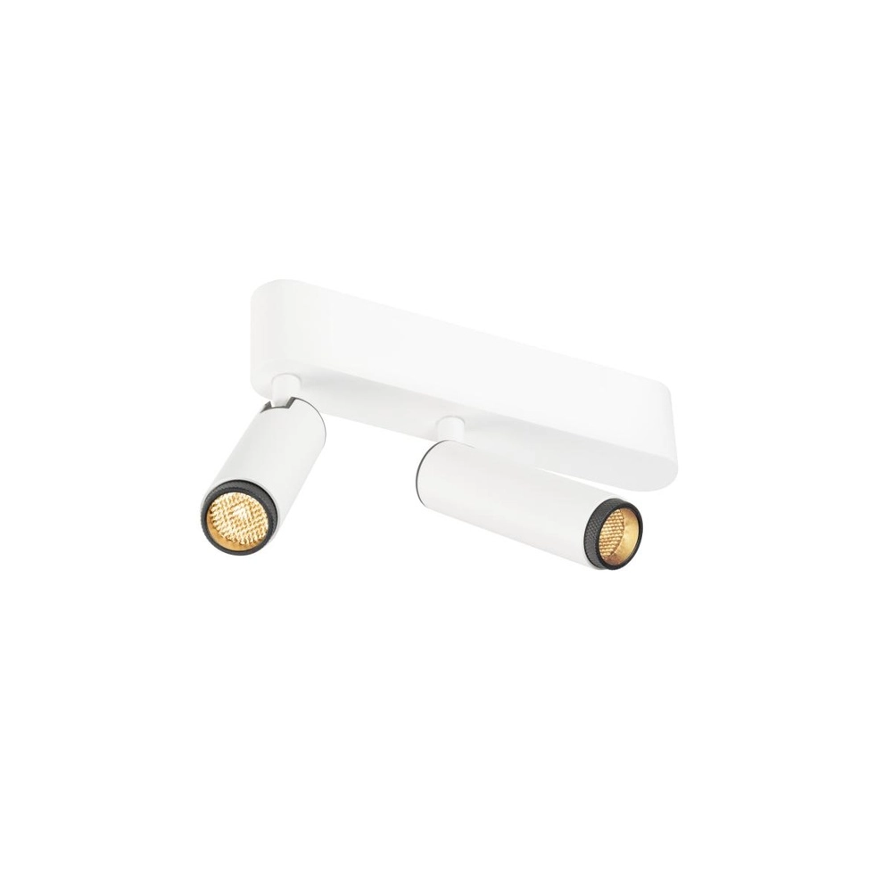 Surface-mounted spot Grip! S 2-light white 2700K