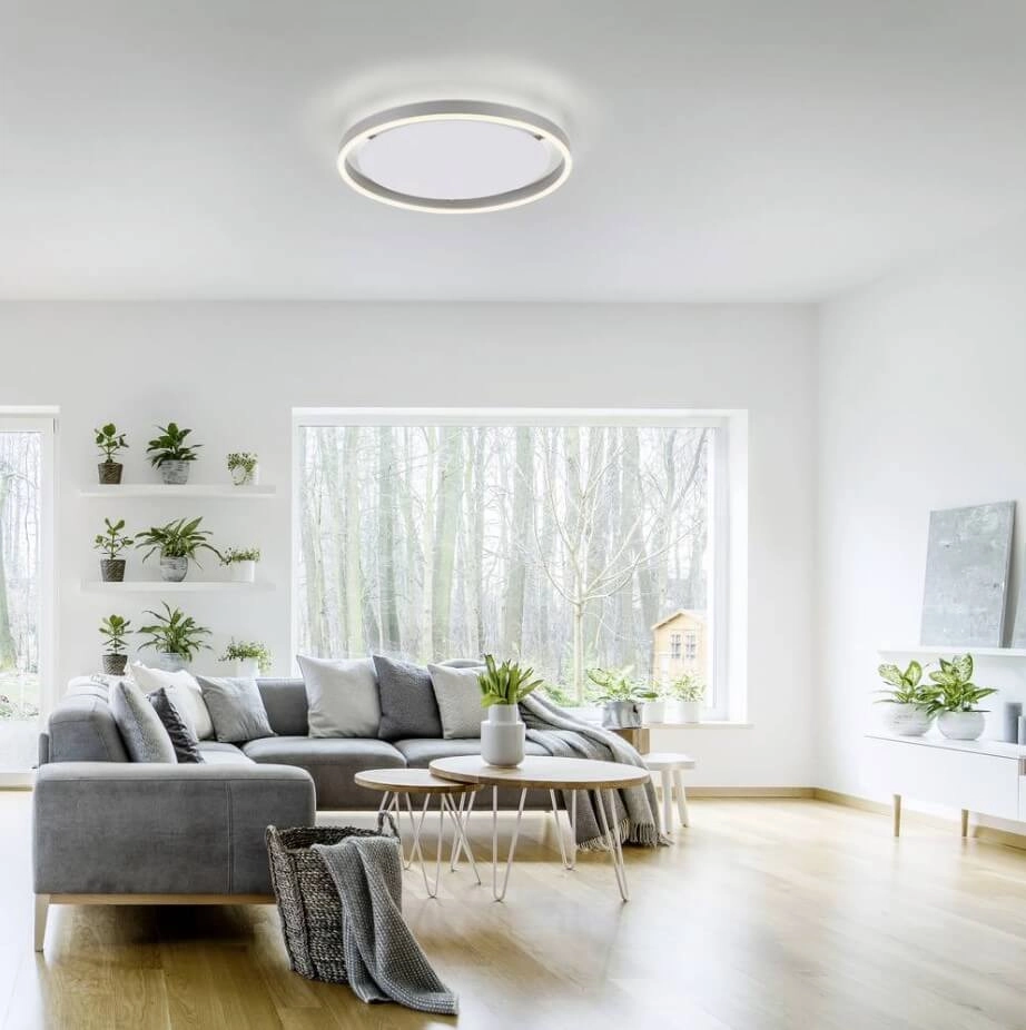 Aluminum ceiling lamp Ritus Ø 40cm Paul Neuhaus 4043689983451