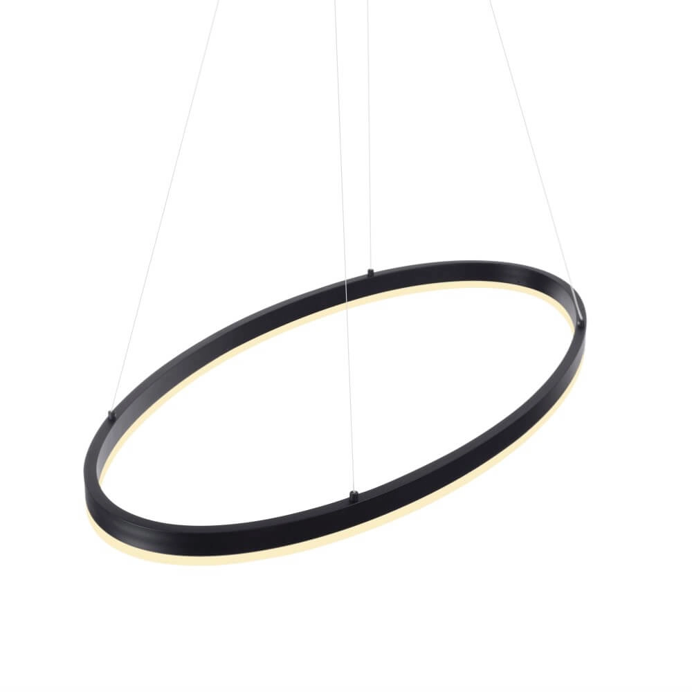 Anthracite pendant lamp Titus Ø 80cm Paul Neuhaus 4012248375211