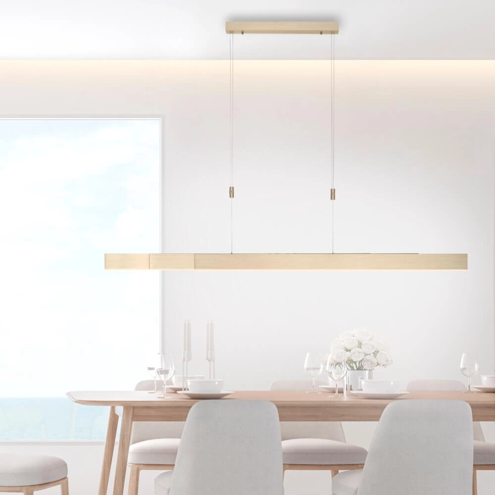 LED hanging lamp Pure-Moto brass matt Paul Neuhaus 4012248363768