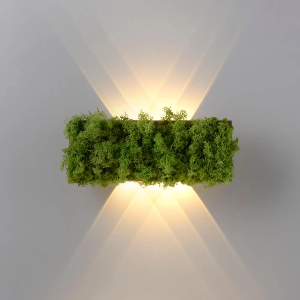 Rectangular ceiling lamp Green Carlo with moss Just Light 4043689994853
