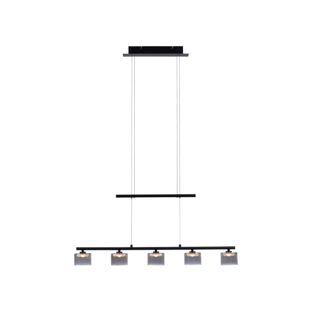 5-light pendant lamp Hydra black Paul Neuhaus 4012248364970