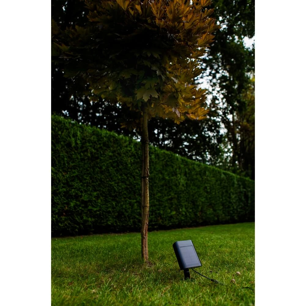Solar garden spike light Bingo with motion sensor Lutec 6939412089980