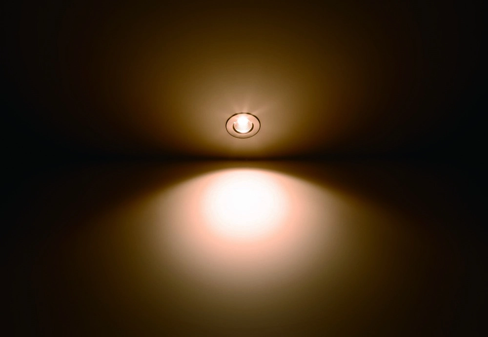 Led spot Dive Stainless steel Philips 8718699755744