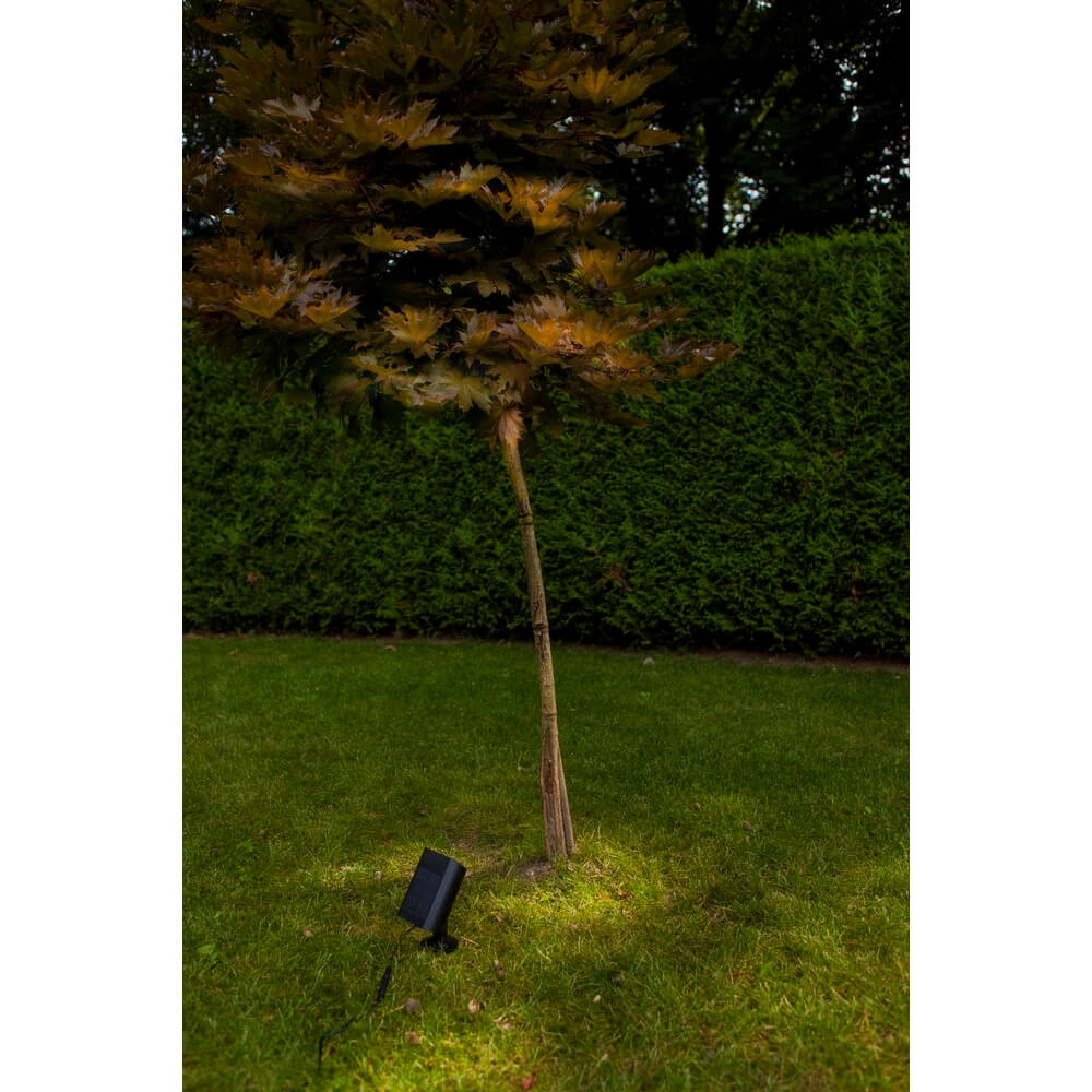 Solar garden spike light Bingo with motion sensor Lutec 6939412089980