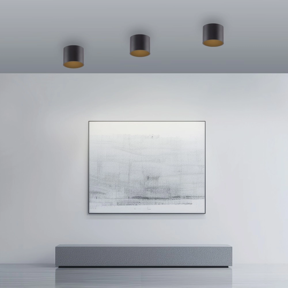Ceiling surface-mounted spot Pure Point Ø 11cm - black pearl Paul Neuhaus 4012248395646