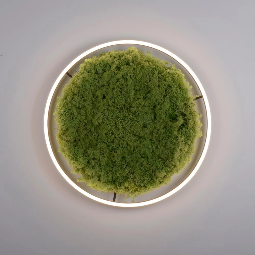 Ceiling lamp Green Ritus with moss Ø 58,5cm Just Light 4043689994808