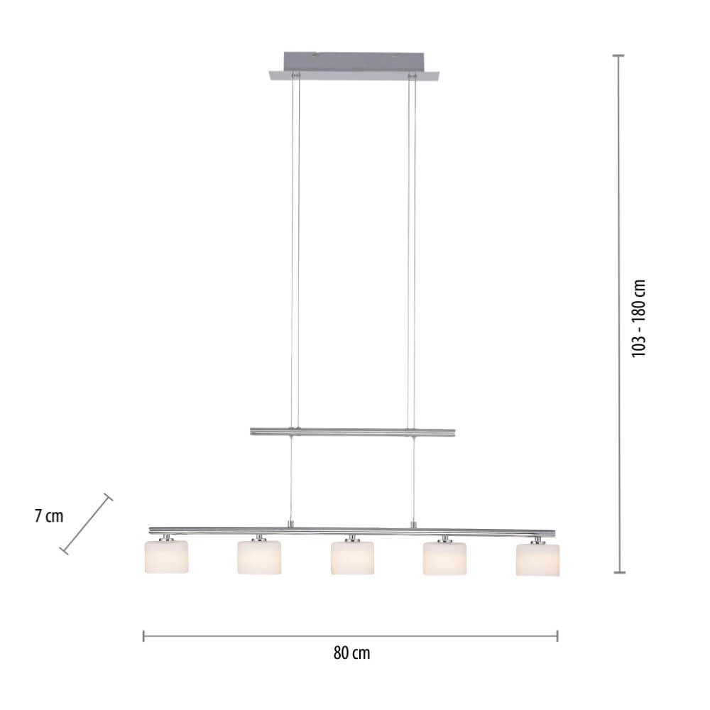 5-light pendant lamp Hydra metal Paul Neuhaus 4012248364963