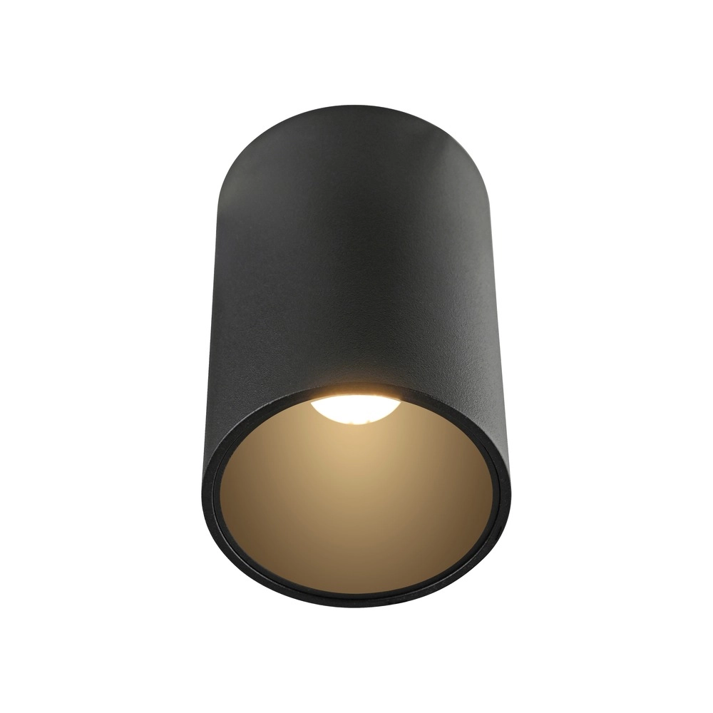 Ceiling surface-mounted spot Pure Point Ø 6cm - black pearl Paul Neuhaus 4012248395677