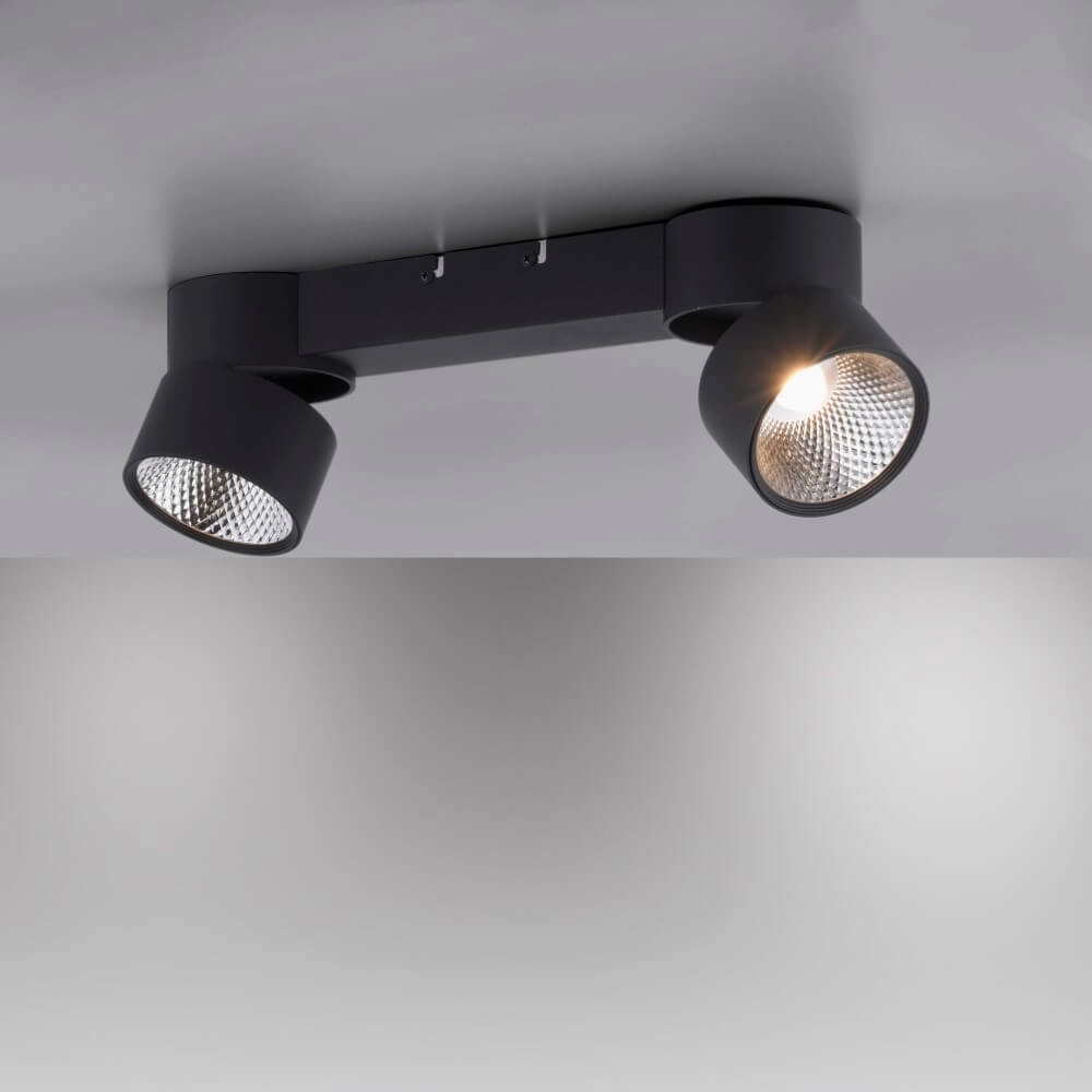 Ceiling lamp Pure Nola 2-light black Paul Neuhaus 4012248372005