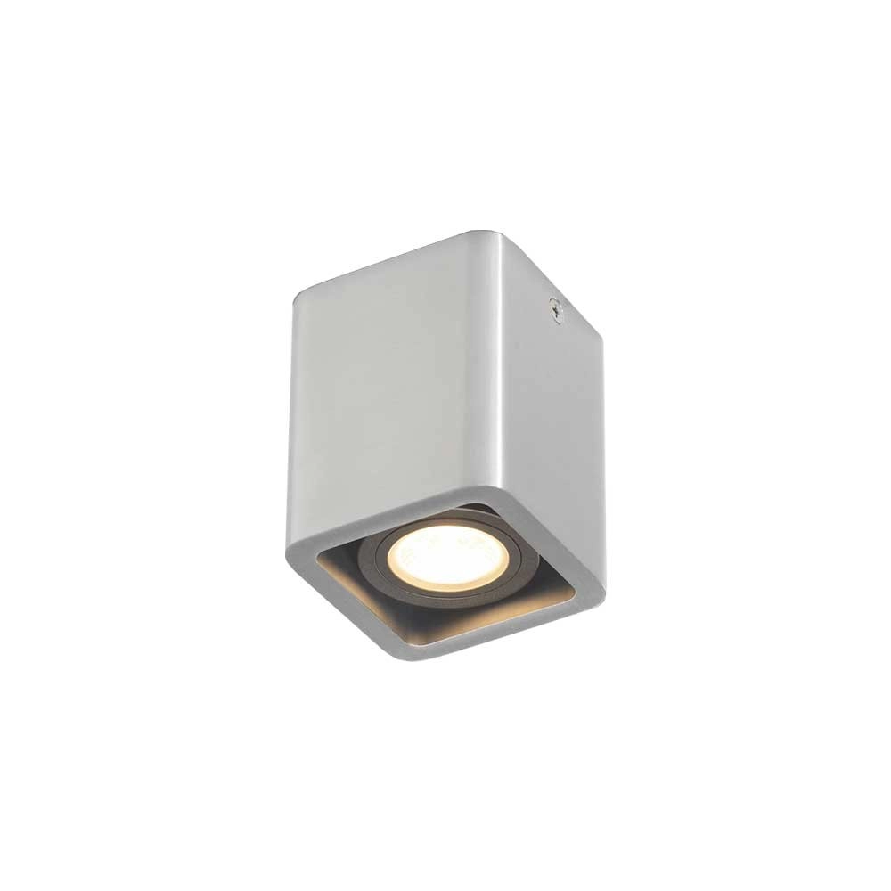 Stainless steel surface mounted spot Bronx