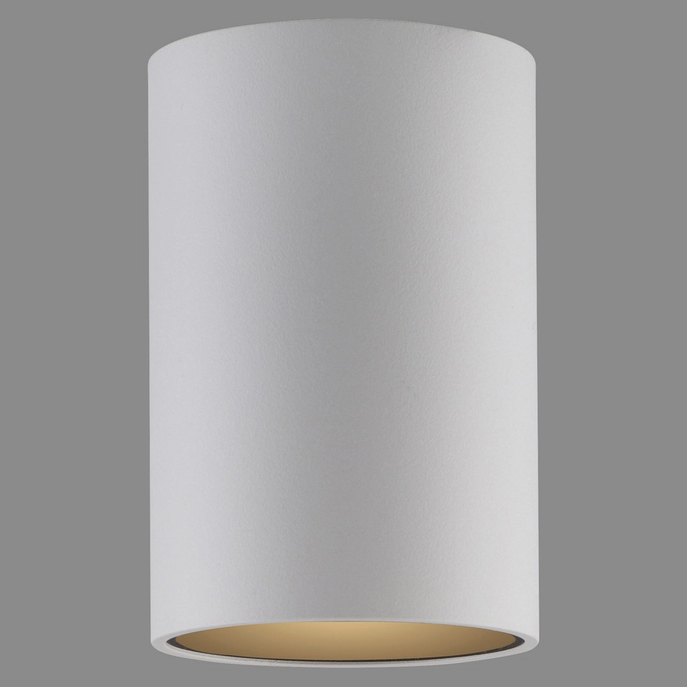 Ceiling surface-mounted spot Pure Point Ø 6cm - white