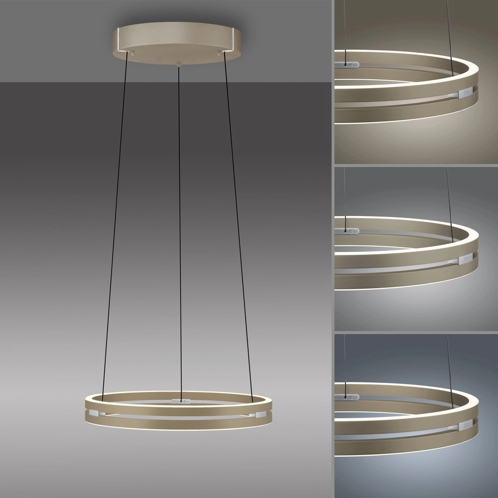 Office pendant lamp Pure E-Loop bronce - Ø 50cm Paul Neuhaus 4012248398357