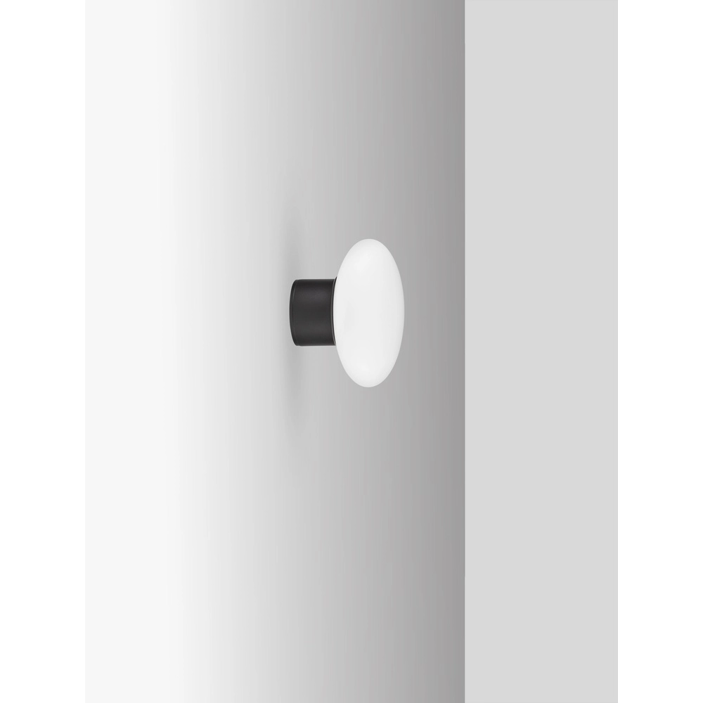 Ceiling lamp Ali anthracite with oval white glass Lyora 5212017476456