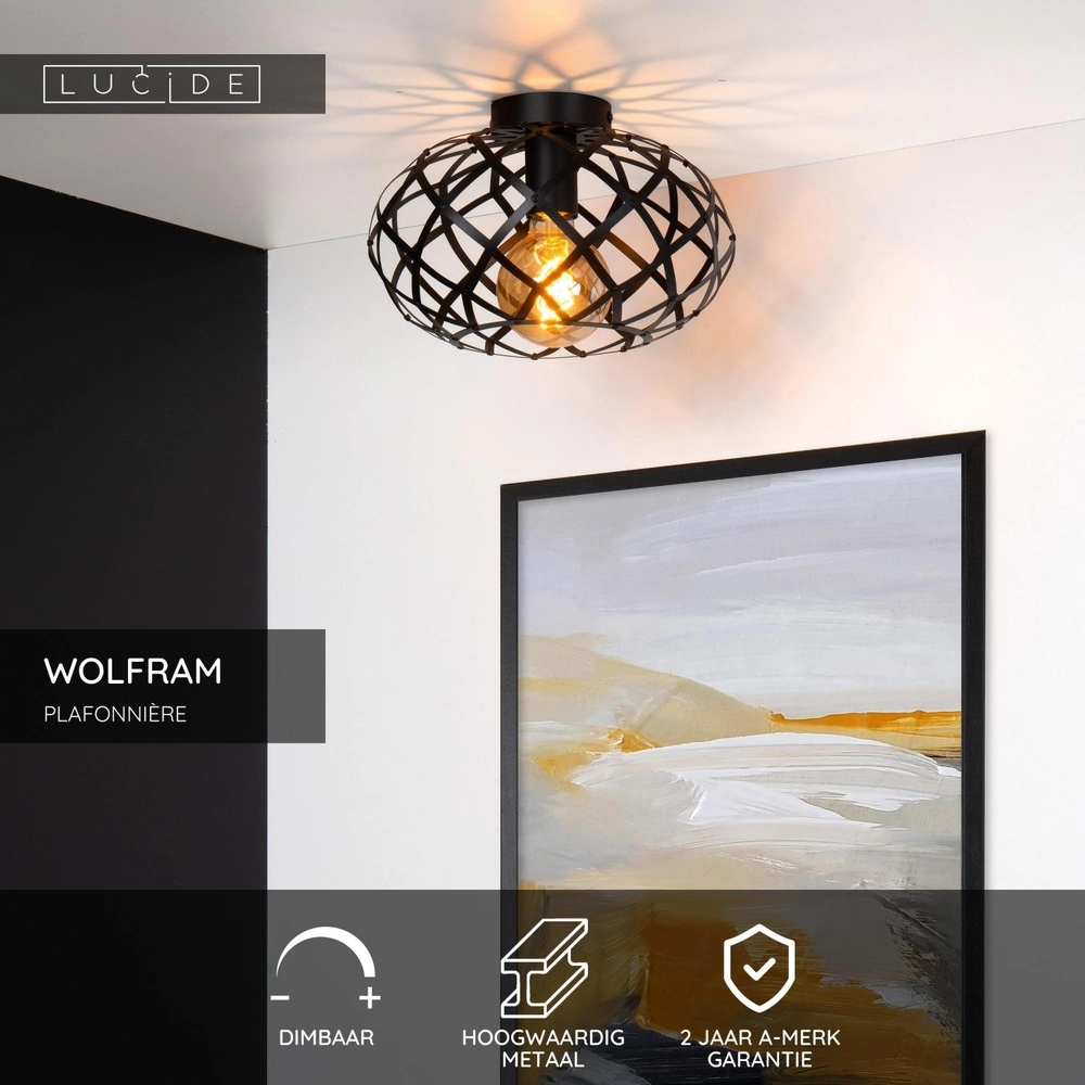 Ceiling lamp Wolfram Black Lucide 5411212211309