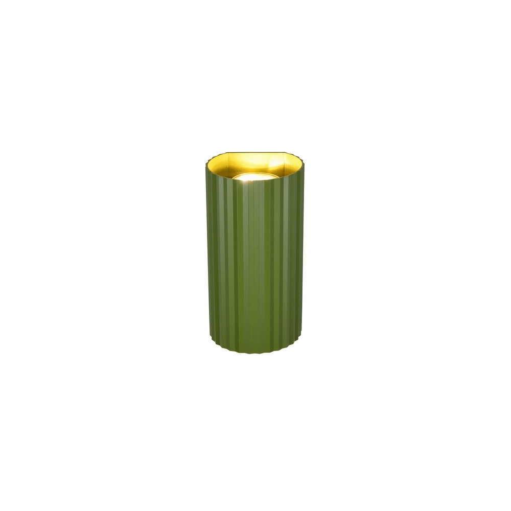 Surface-mounted spot Soka green Trio 4017807657081