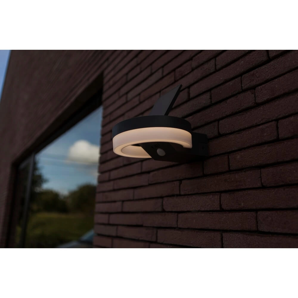 Outdoor Sensor Lamp Runda Solar powered Lutec 6939412016337