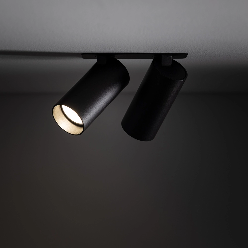 Double recessed spotlight Fourty Orientable - Black Lyora 5903139114424