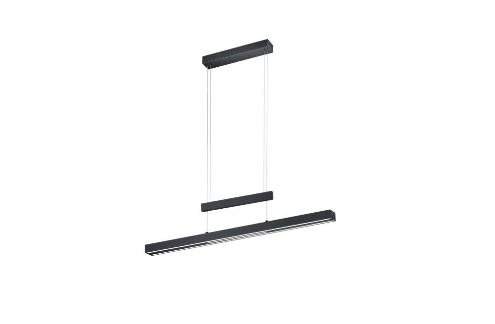 Adjustable hanging lamp Trajan Matt black Trio 4017807472233