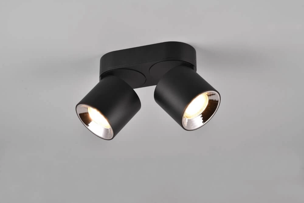 Ceiling light Guayana 2-light black Trio 4017807573961