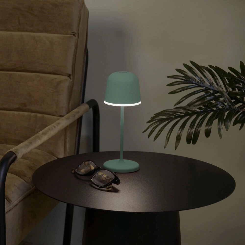 Table lamp Mannera Green design Eglo 9008606355563