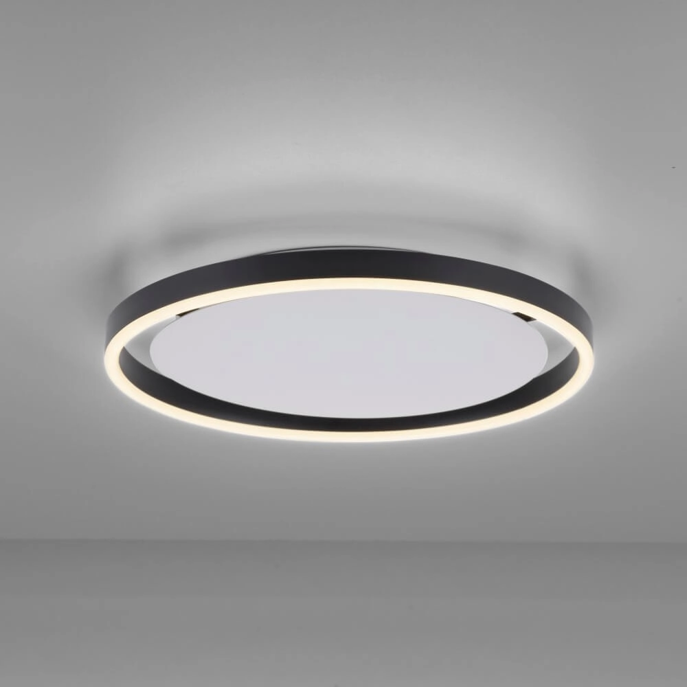 LED ceiling light Ritus Ø 40cm Paul Neuhaus 4043689983925