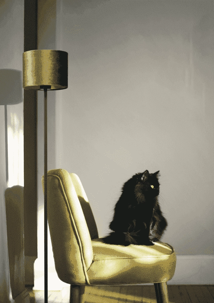 Black floor lamp Venus 150cm with olive green lampshade Masterlight 8718121204222