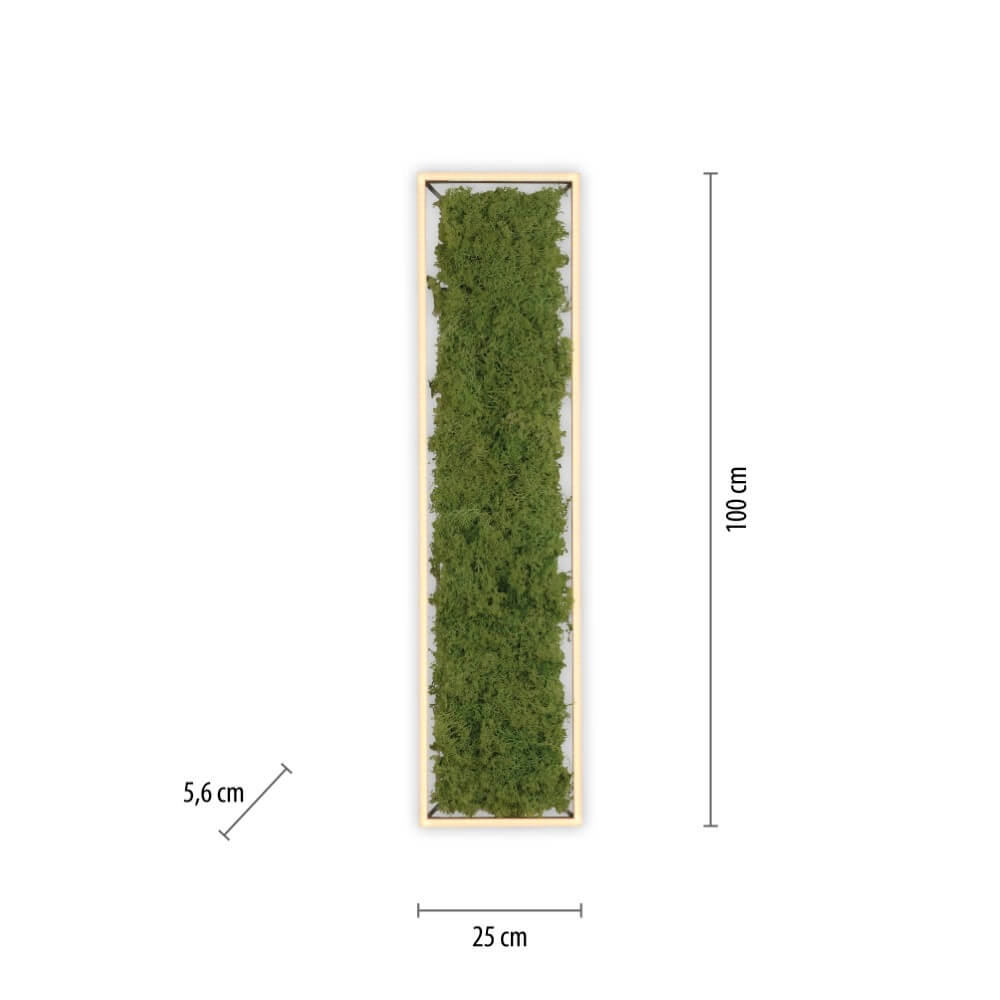 Rectangular ceiling lamp Green Knut with moss Just Light 4043689994846