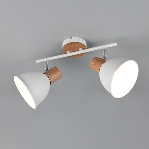 Ceiling lamp Delume double white